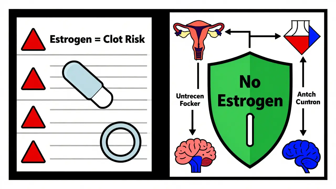 Confronto visivo in stile Bauhaus tra metodi ormonali rischiosi e IUD sicuro, con forme geometriche e colori contrastanti.