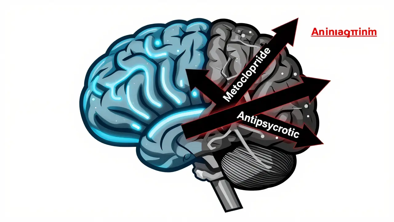 Metoclopramide e Antipsicotici: Il Rischio di Sindrome Maligna da Neurolettici